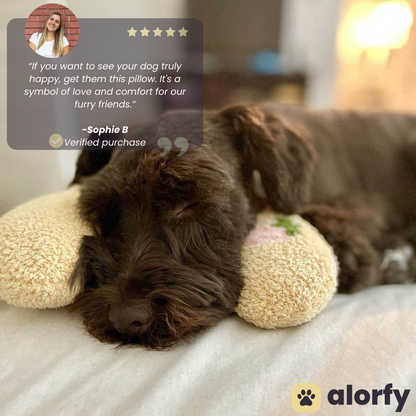 alorfy™ Calming Pillow